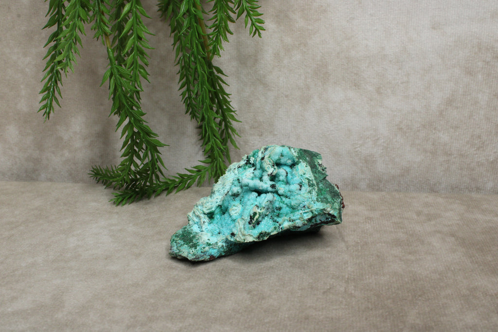 Chrysocolla cluster zeer zeldzaam !