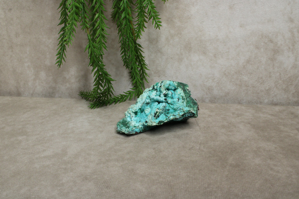 Chrysocolla cluster zeer zeldzaam !