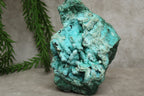 Chrysocolla cluster zeer zeldzaam !