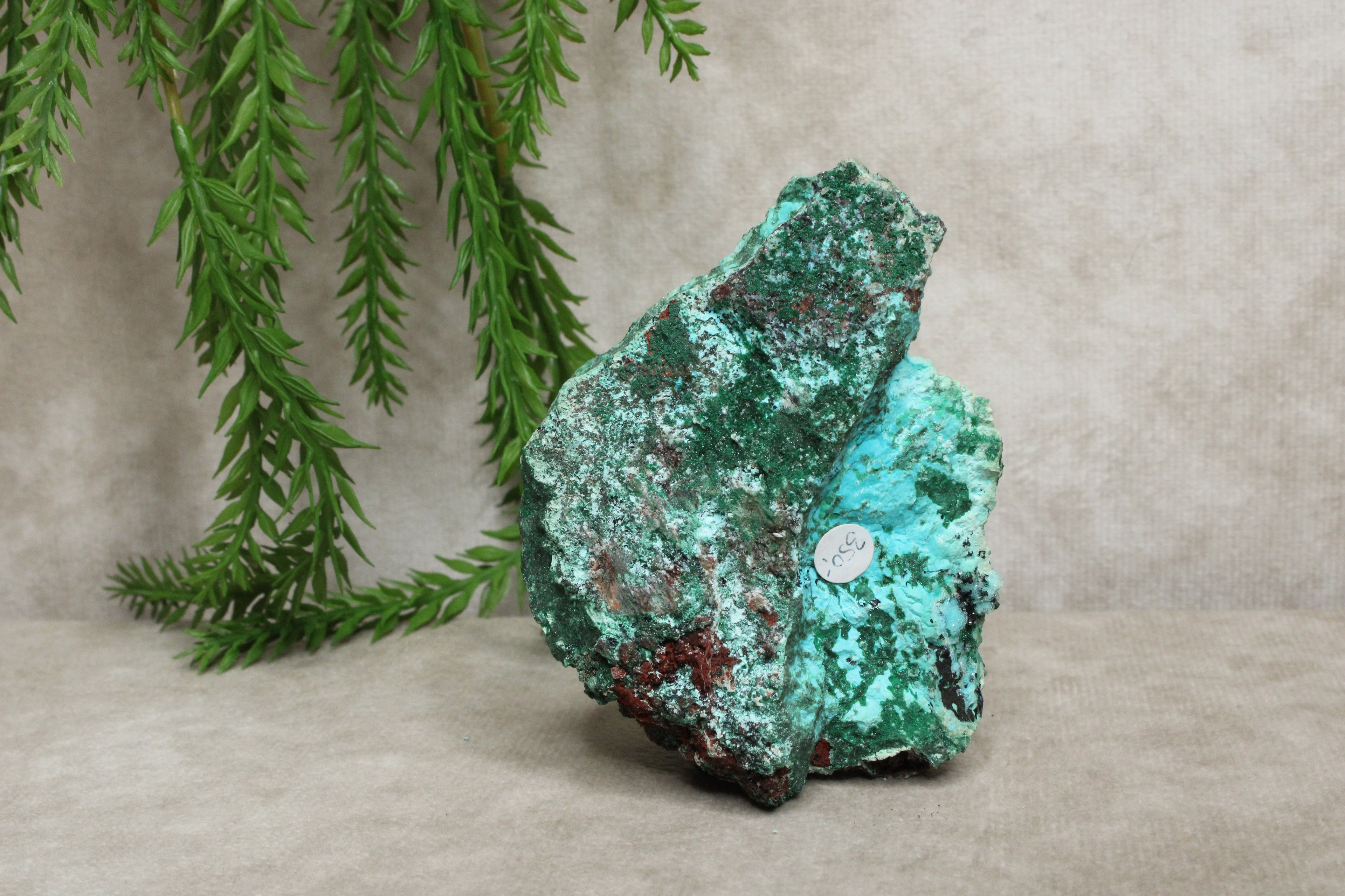 Chrysocolla cluster zeer zeldzaam !