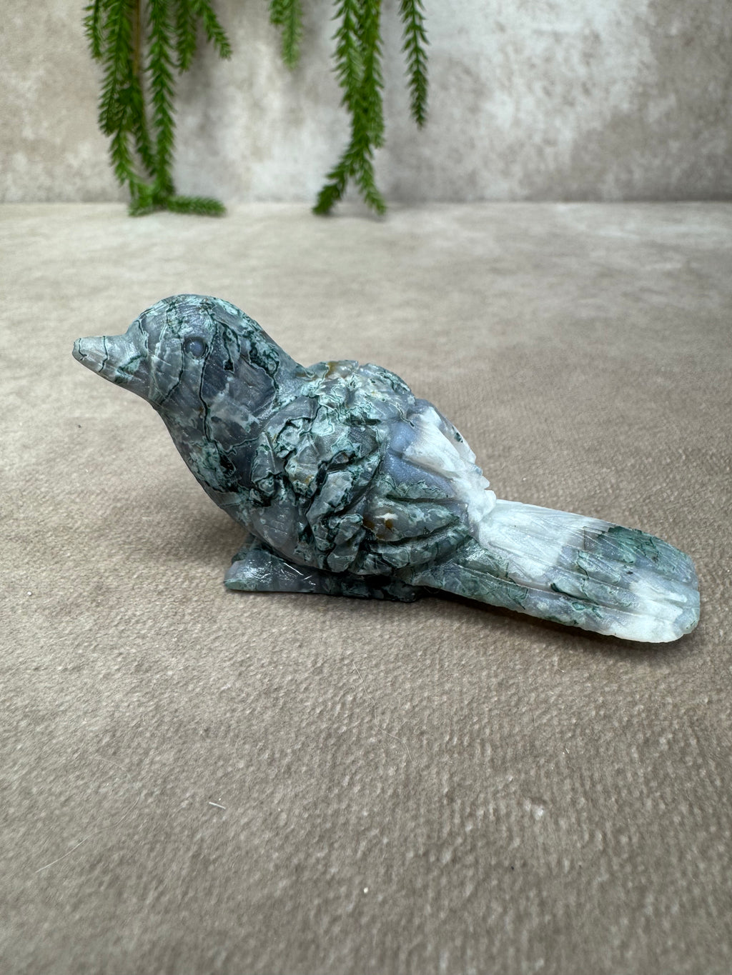 Mosagaat vogel