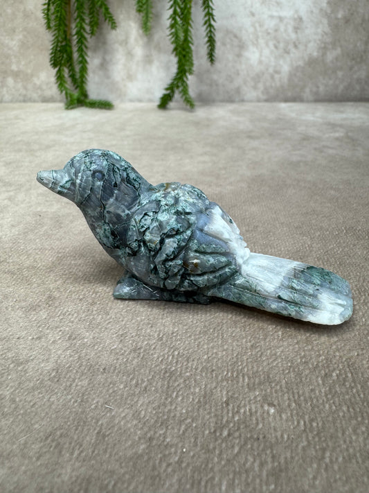 Mosagaat vogel