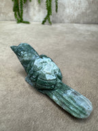 Mosagaat vogel