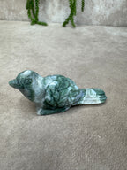 Mosagaat vogel