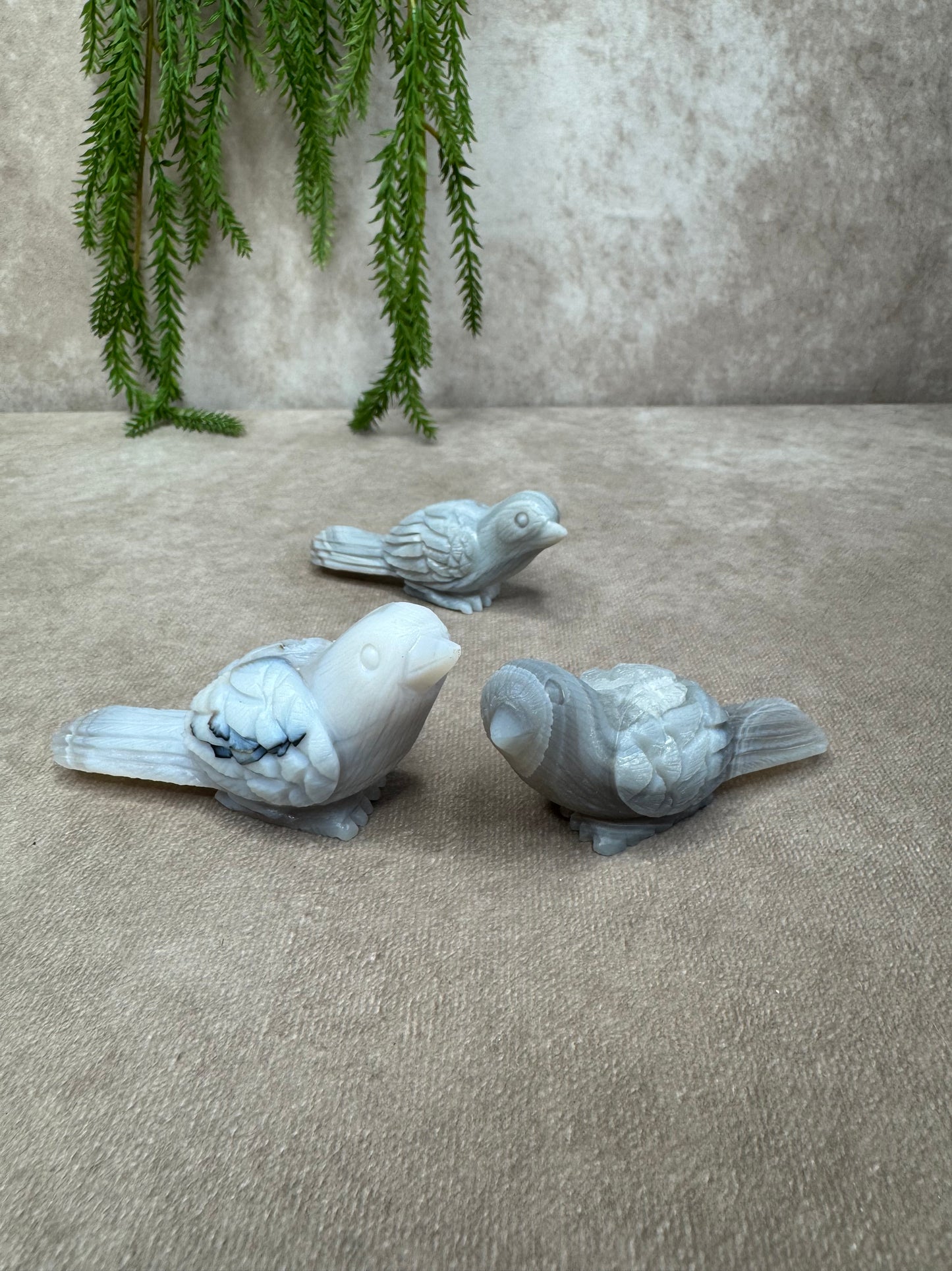Agaat vogel