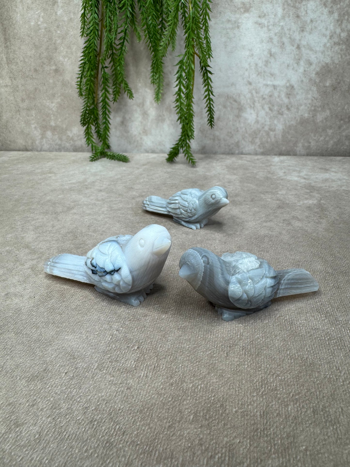 Agaat vogel