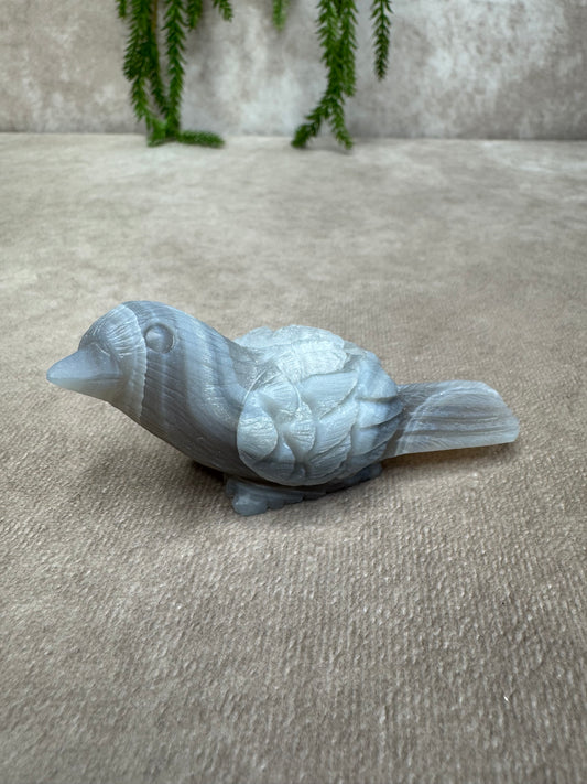 Agaat vogel