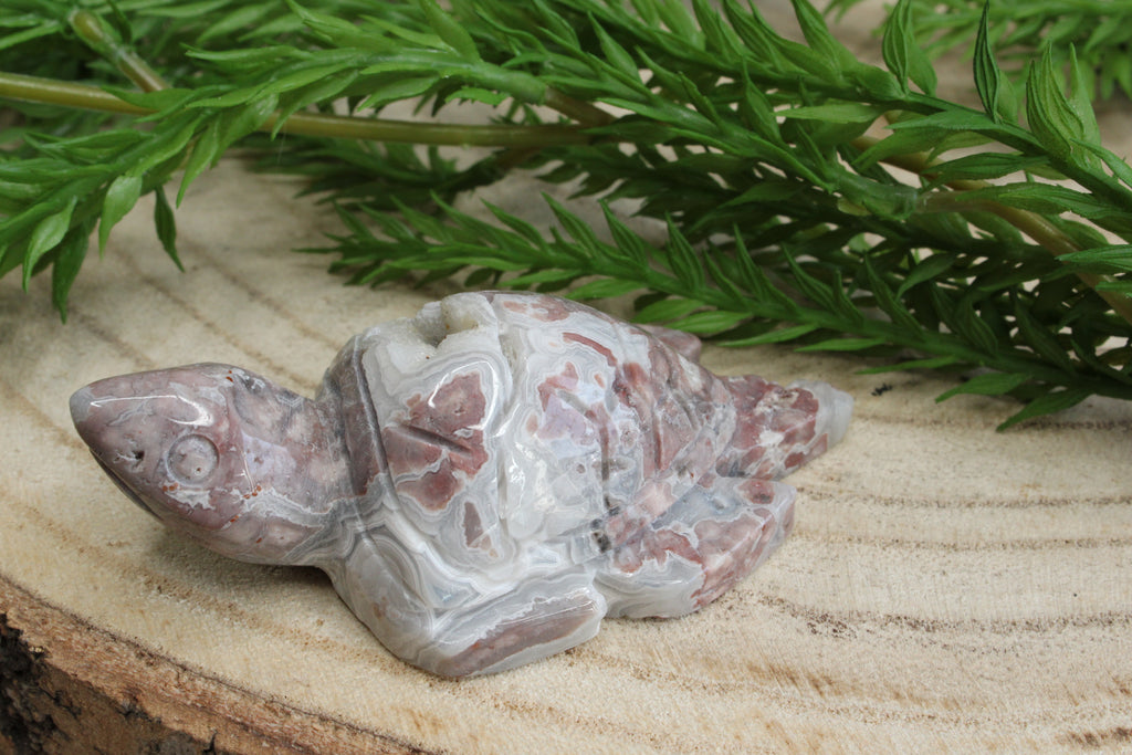 Crazy lace agaat schildpad