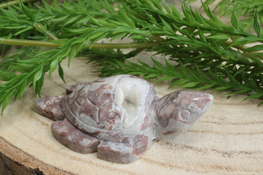 Crazy lace agaat schildpad
