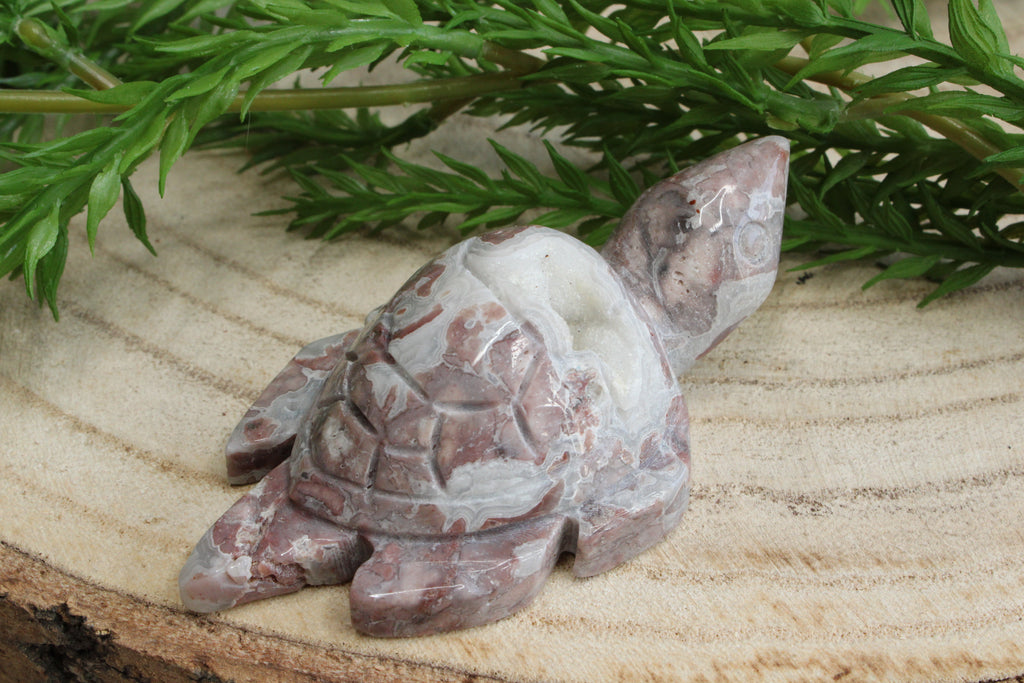 Crazy lace agaat schildpad