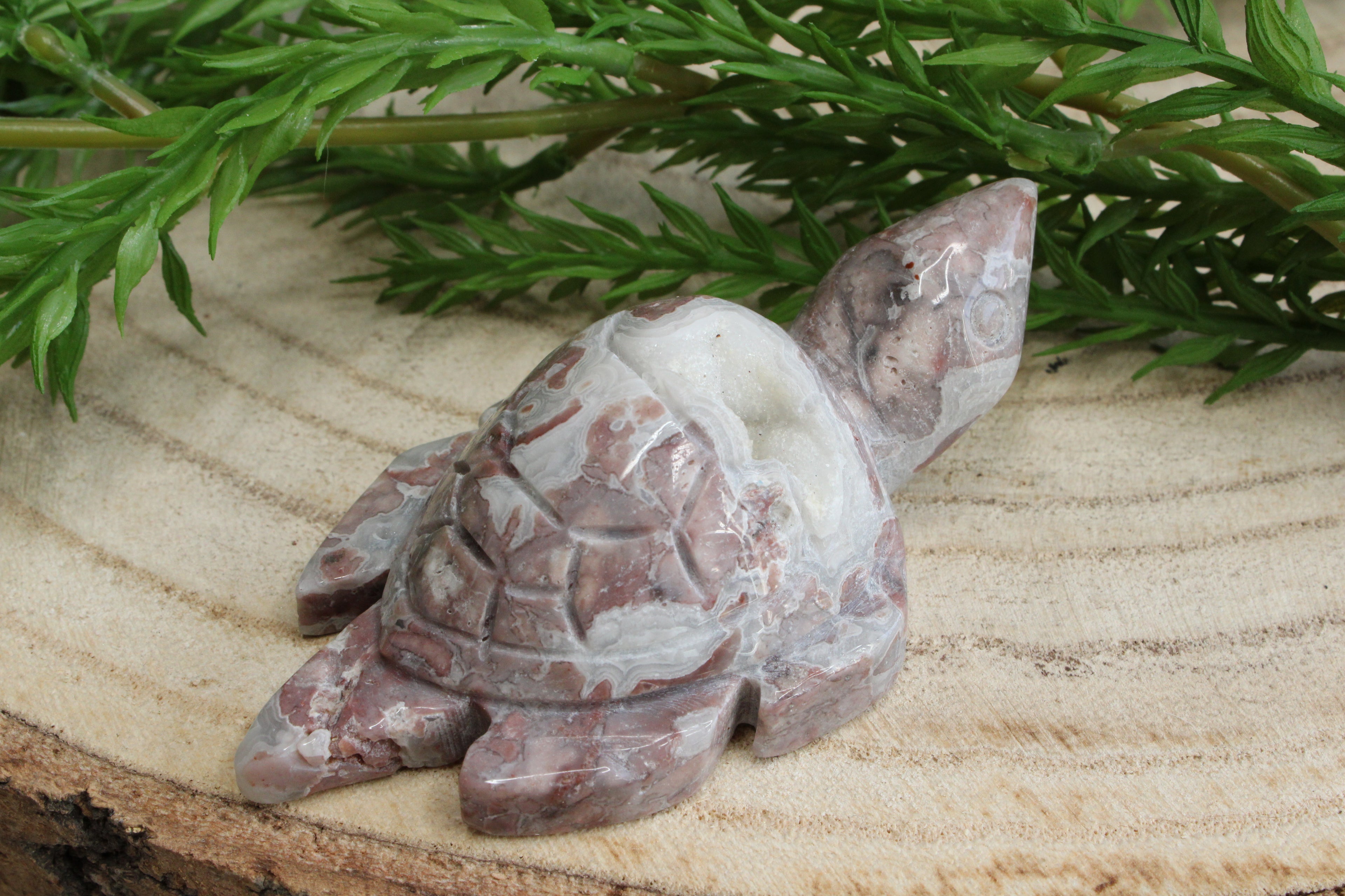 Crazy lace agaat schildpad