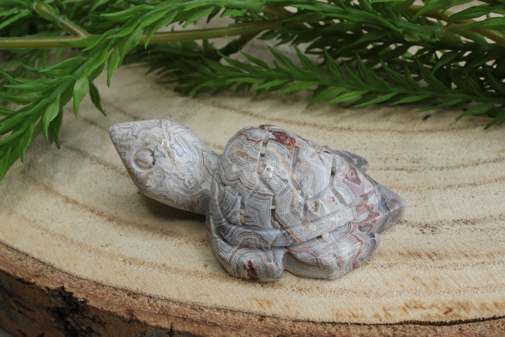 Crazy lace agaat schildpad