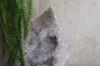 Flower amethist cluster