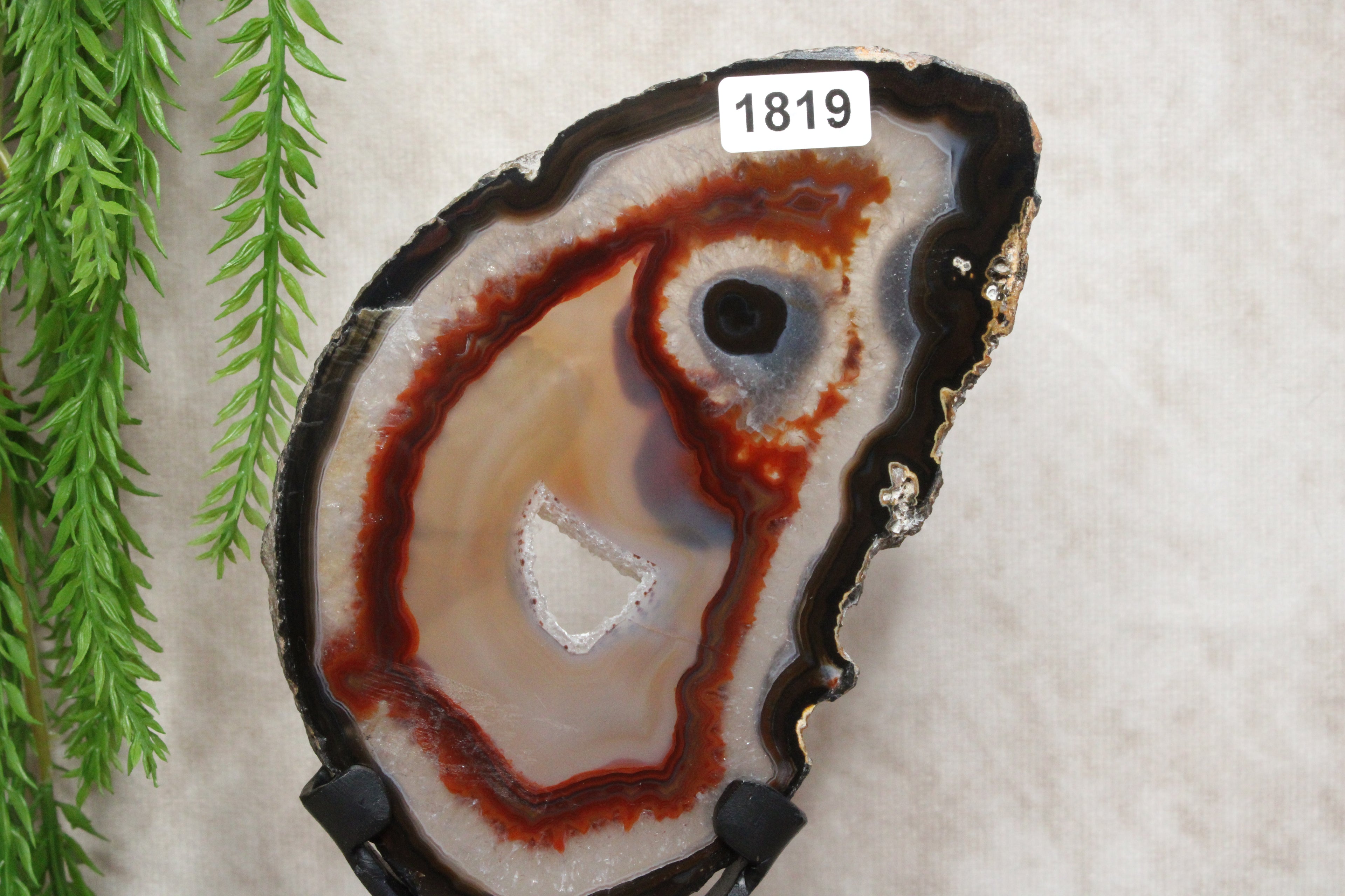 Agaat schijf op luxe standaard #1819