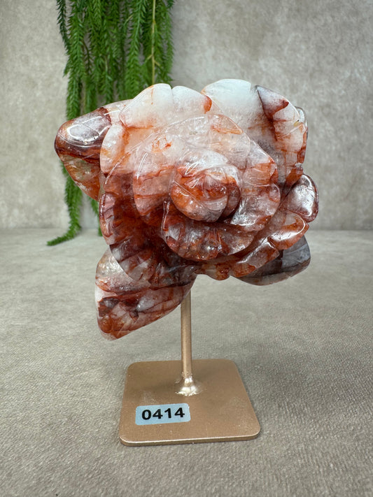 Vuurkwarts Roos #0414