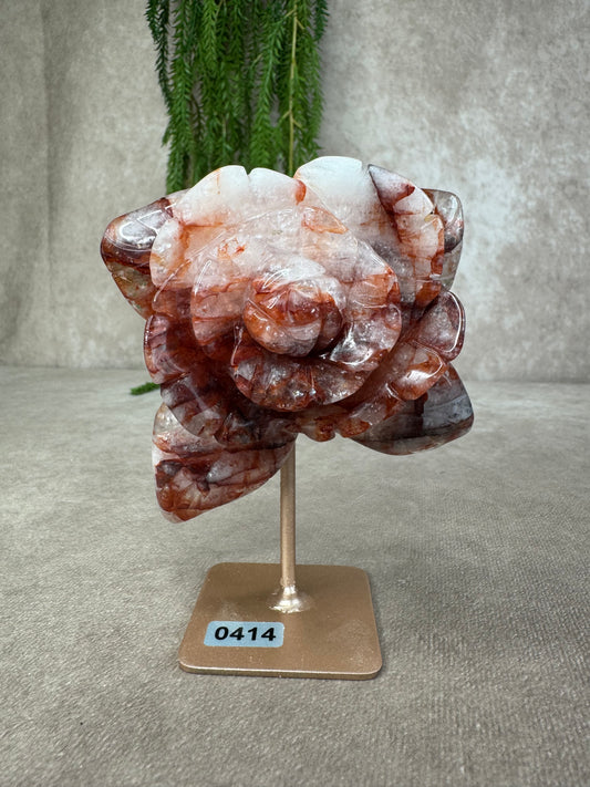 Vuurkwarts Roos #0414