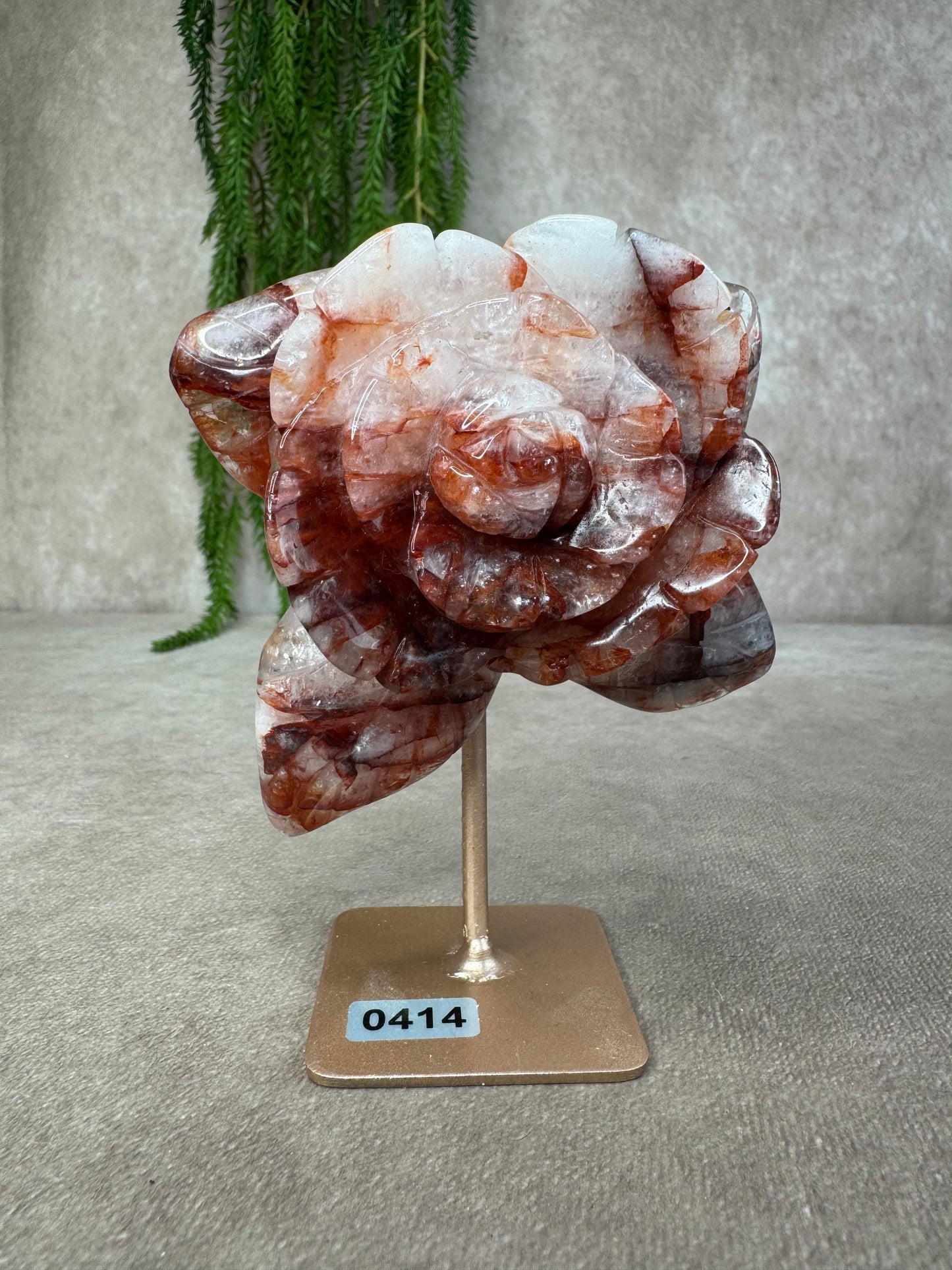 Vuurkwarts Roos #0414