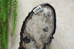 Agaat schijf op luxe standaard #1806
