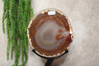 Agaat schijf op luxe standaard #1837