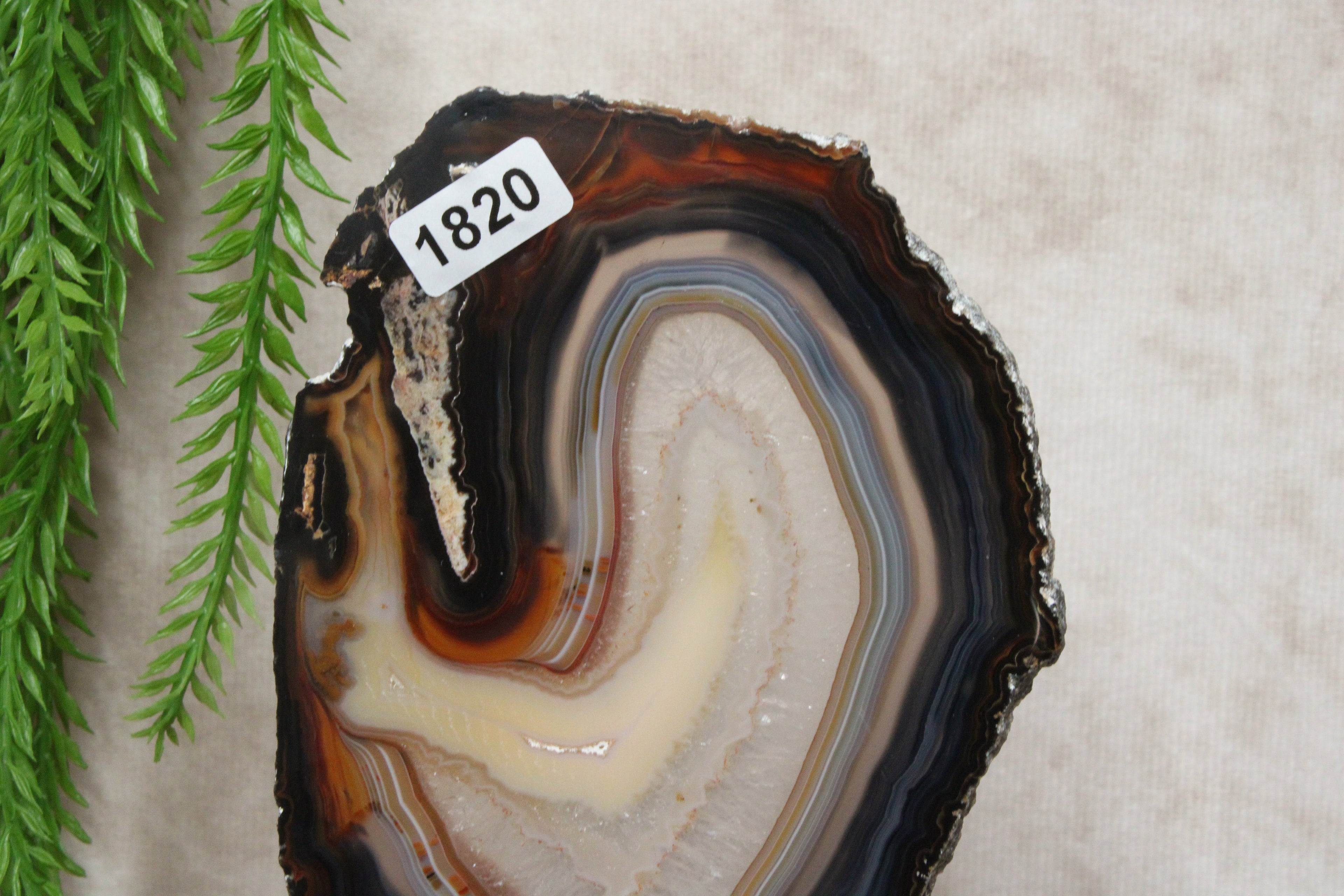 Agaat schijf op luxe standaard #1820