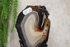 Agaat schijf op luxe standaard #1820