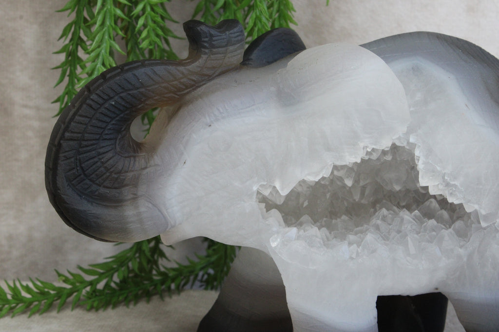 Agaat olifant