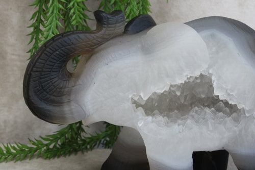 Agaat olifant