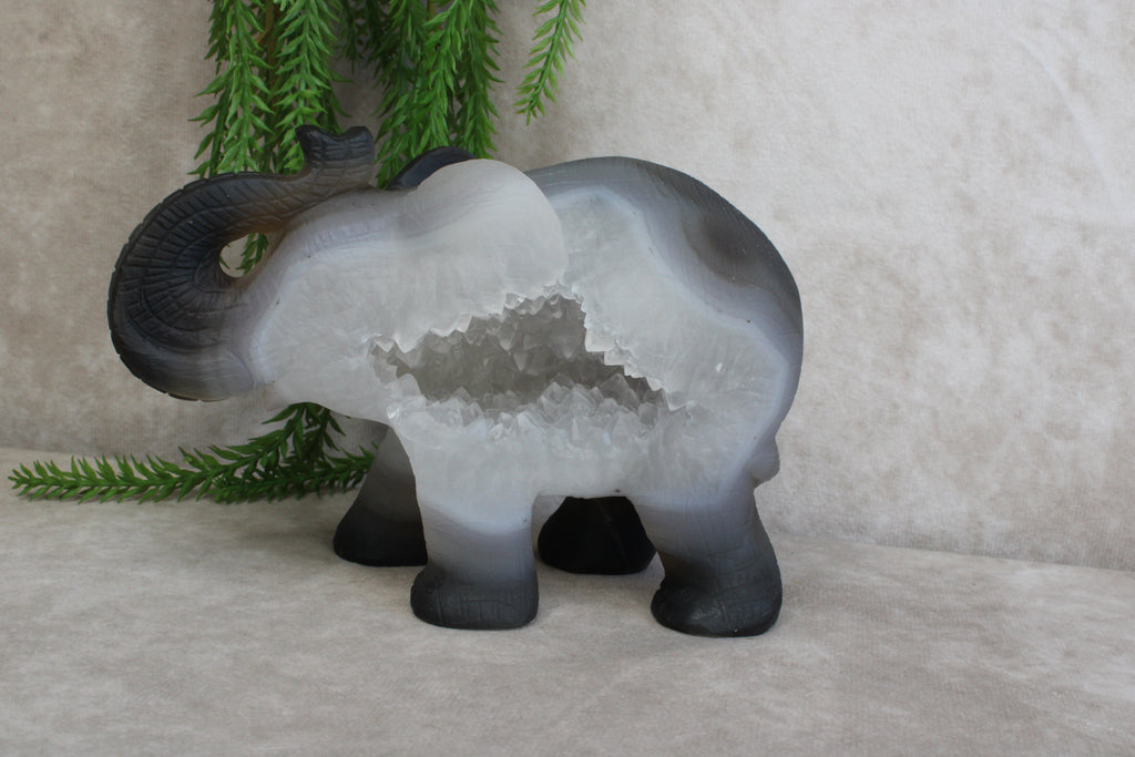Agaat olifant
