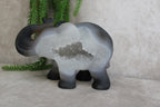 Agaat olifant