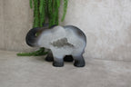 Agaat olifant
