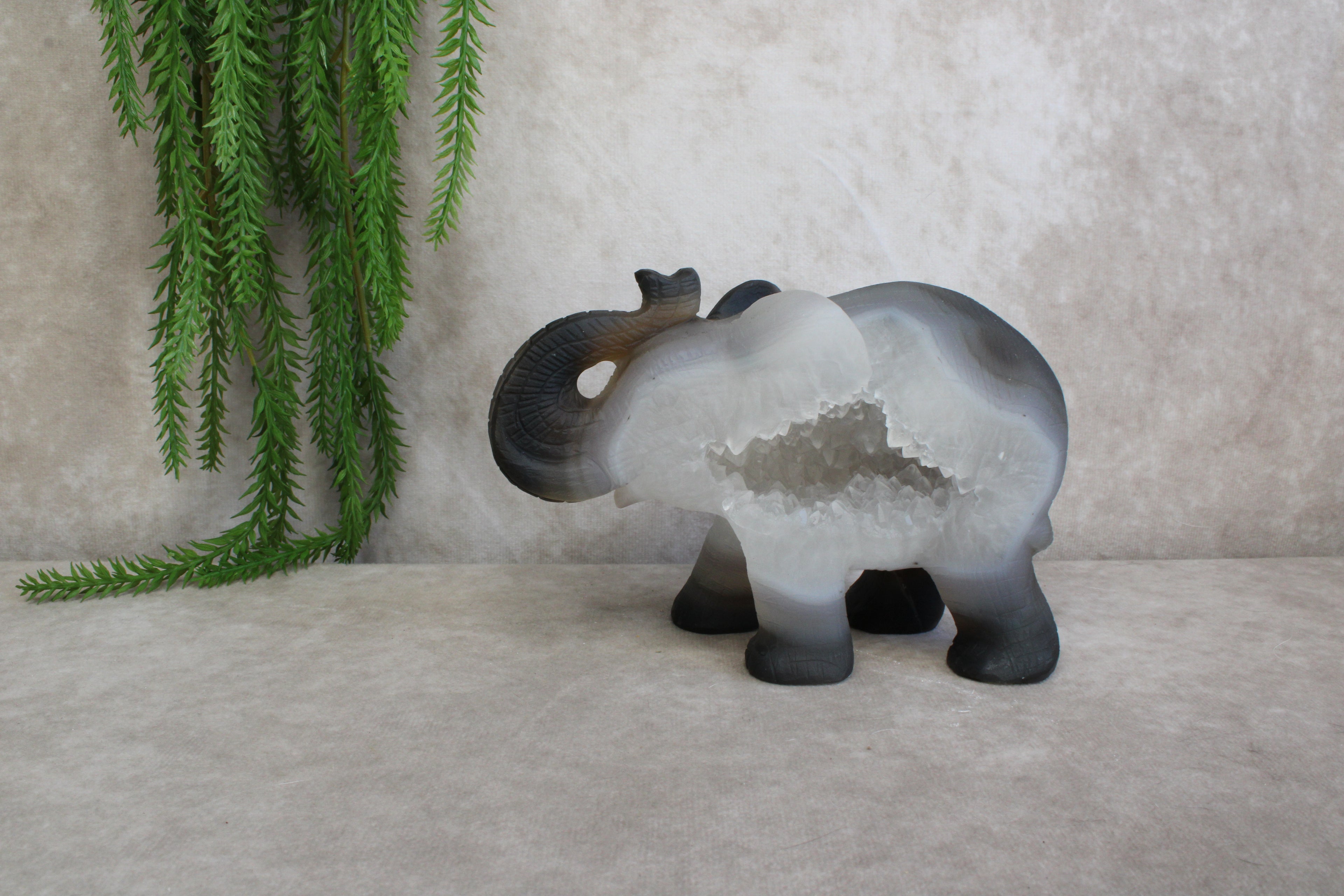 Agaat olifant
