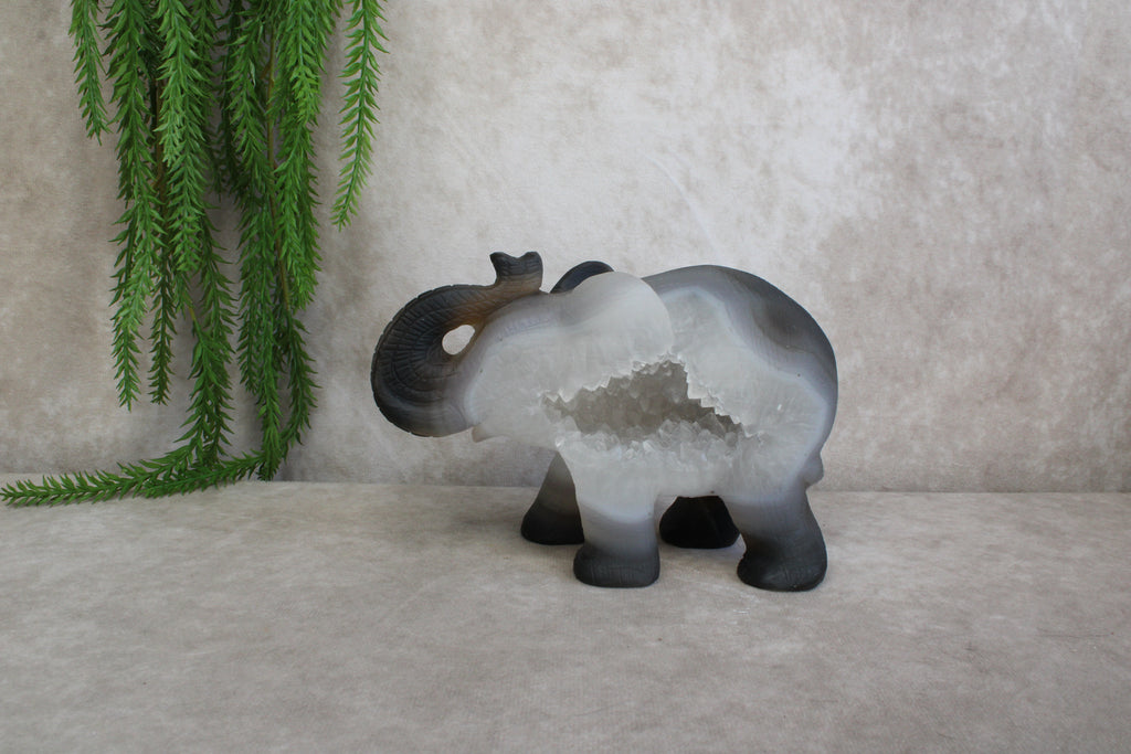 Agaat olifant
