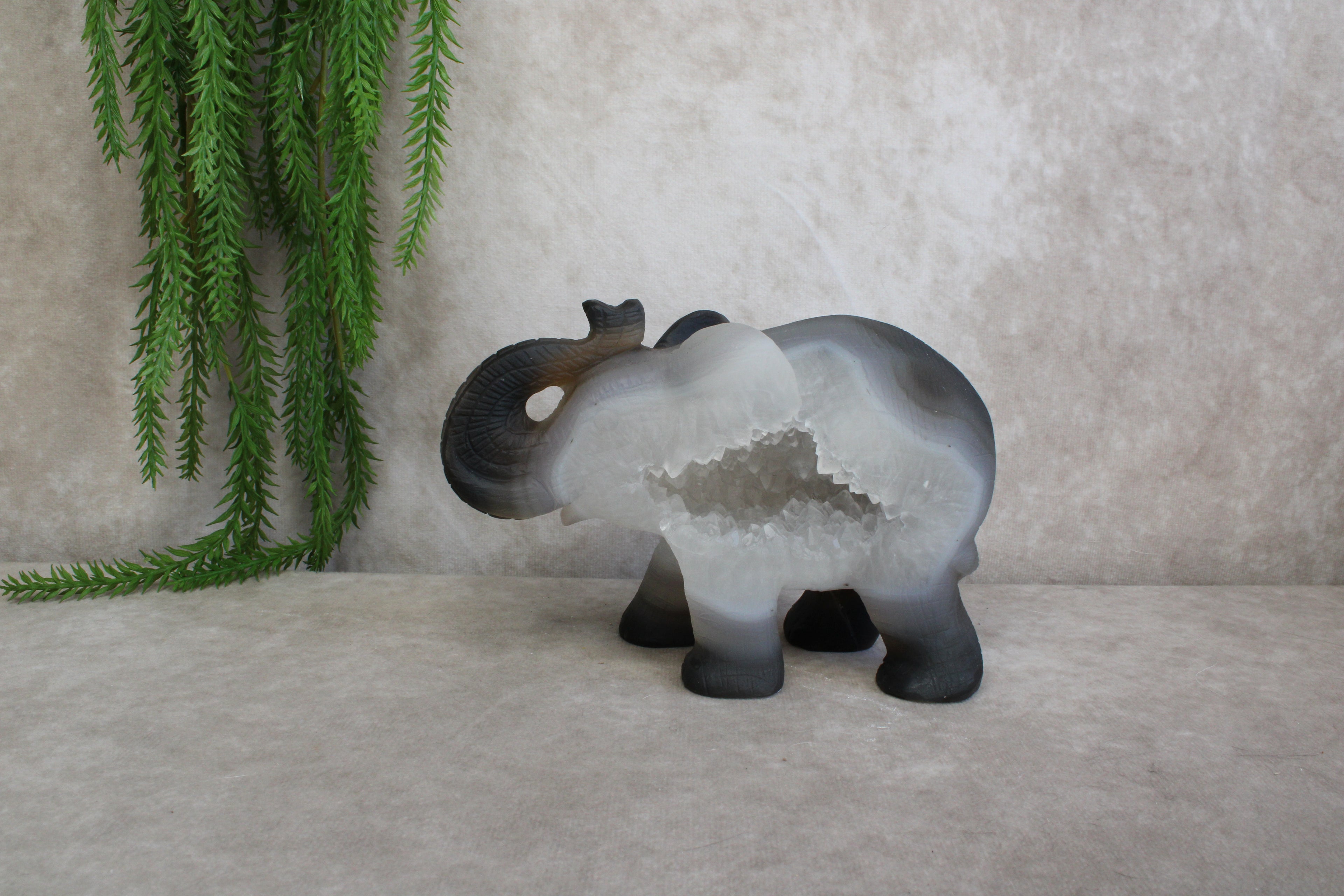 Agaat olifant