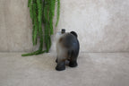 Agaat olifant