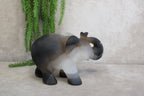 Agaat olifant