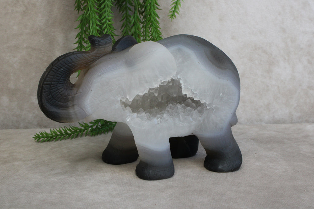 Agaat olifant