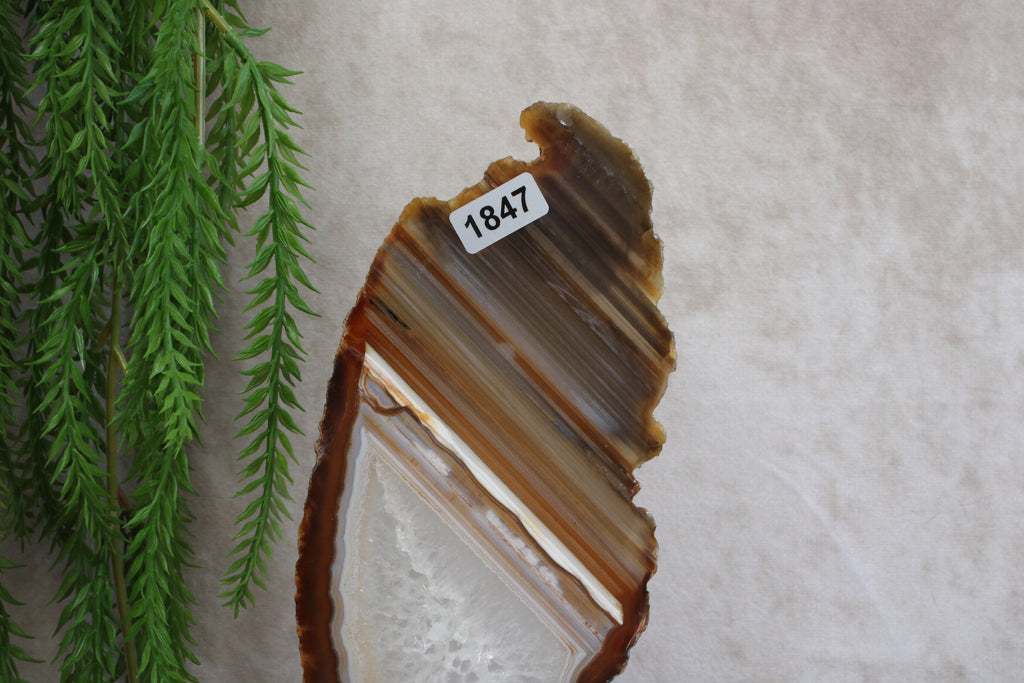 Agaat schijf op luxe standaard #1847
