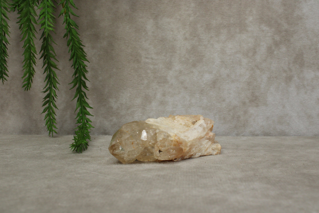Citrien natuurlijk #0149