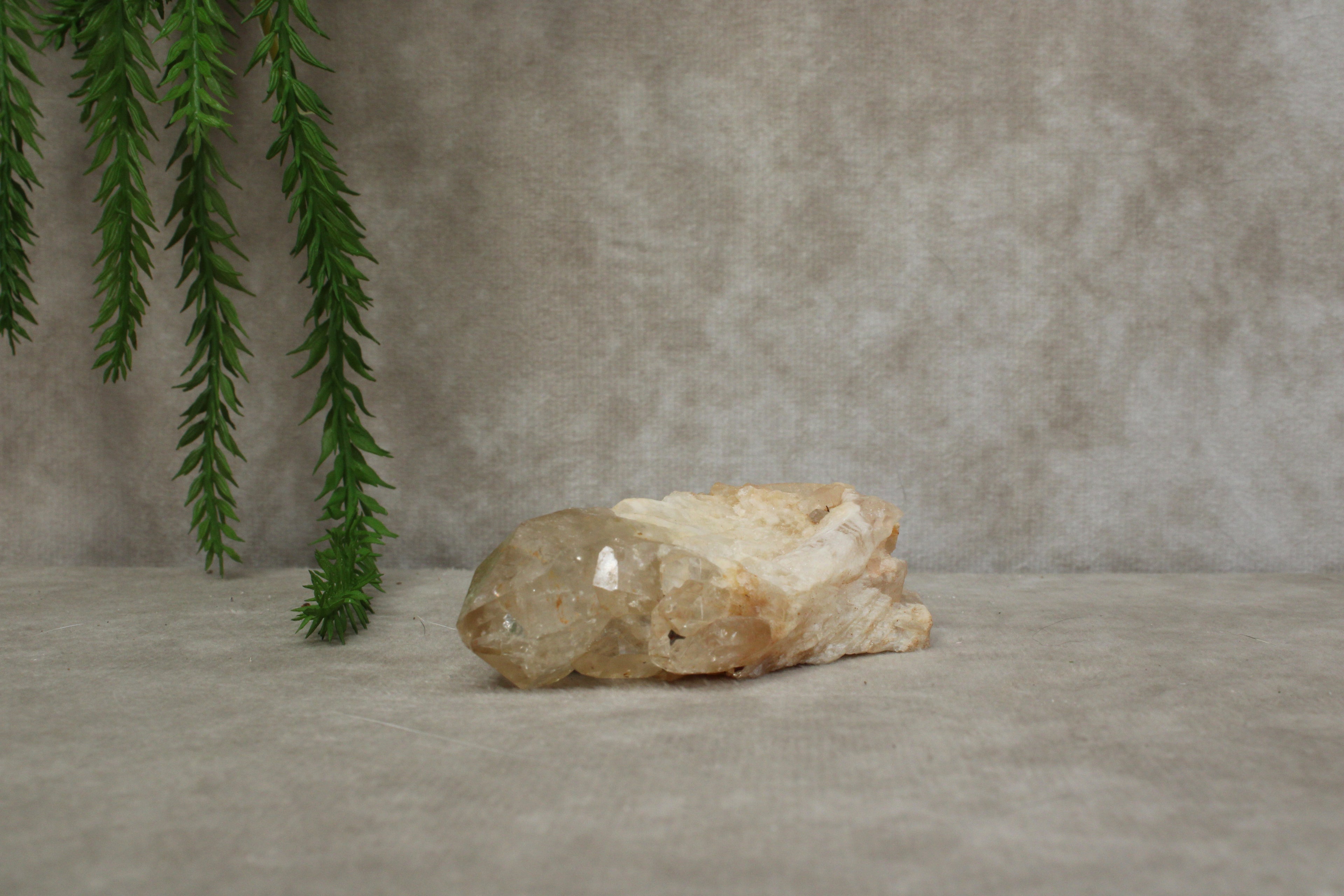 Citrien natuurlijk #0149