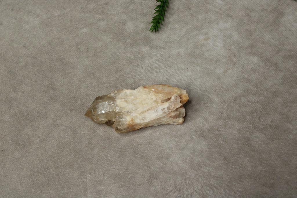 Citrien natuurlijk #0149