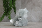Cluster van blauwe chalcedoon, kwarts en apofylliet #99