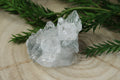 Chalcedoon, kwarts en apofylliet  cluster #91