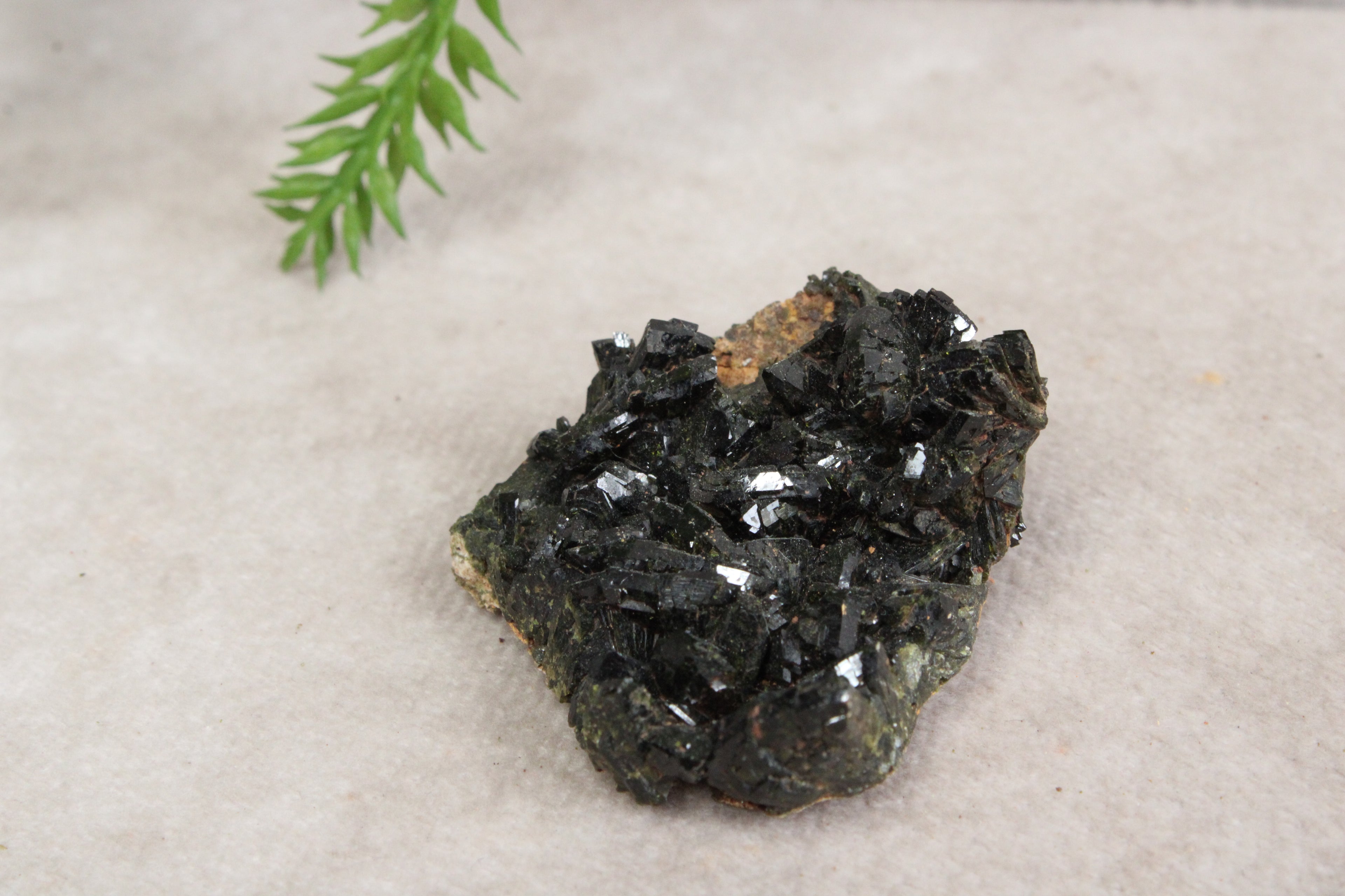 Forst epidoot ruw #94
