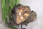 Forst epidoot ruw #22