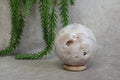 Roze amethist bol #1703