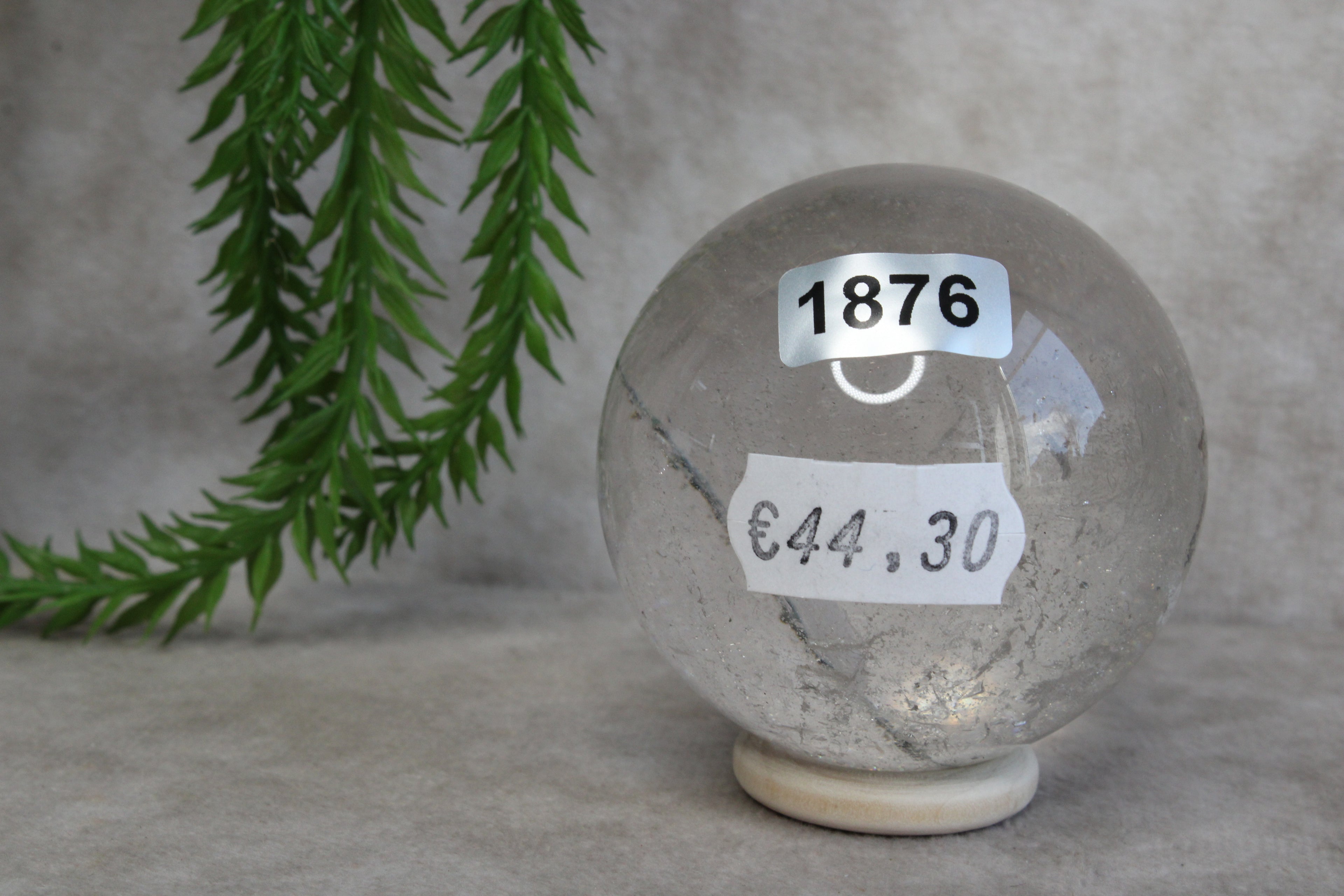 Lodoliet bol #1876