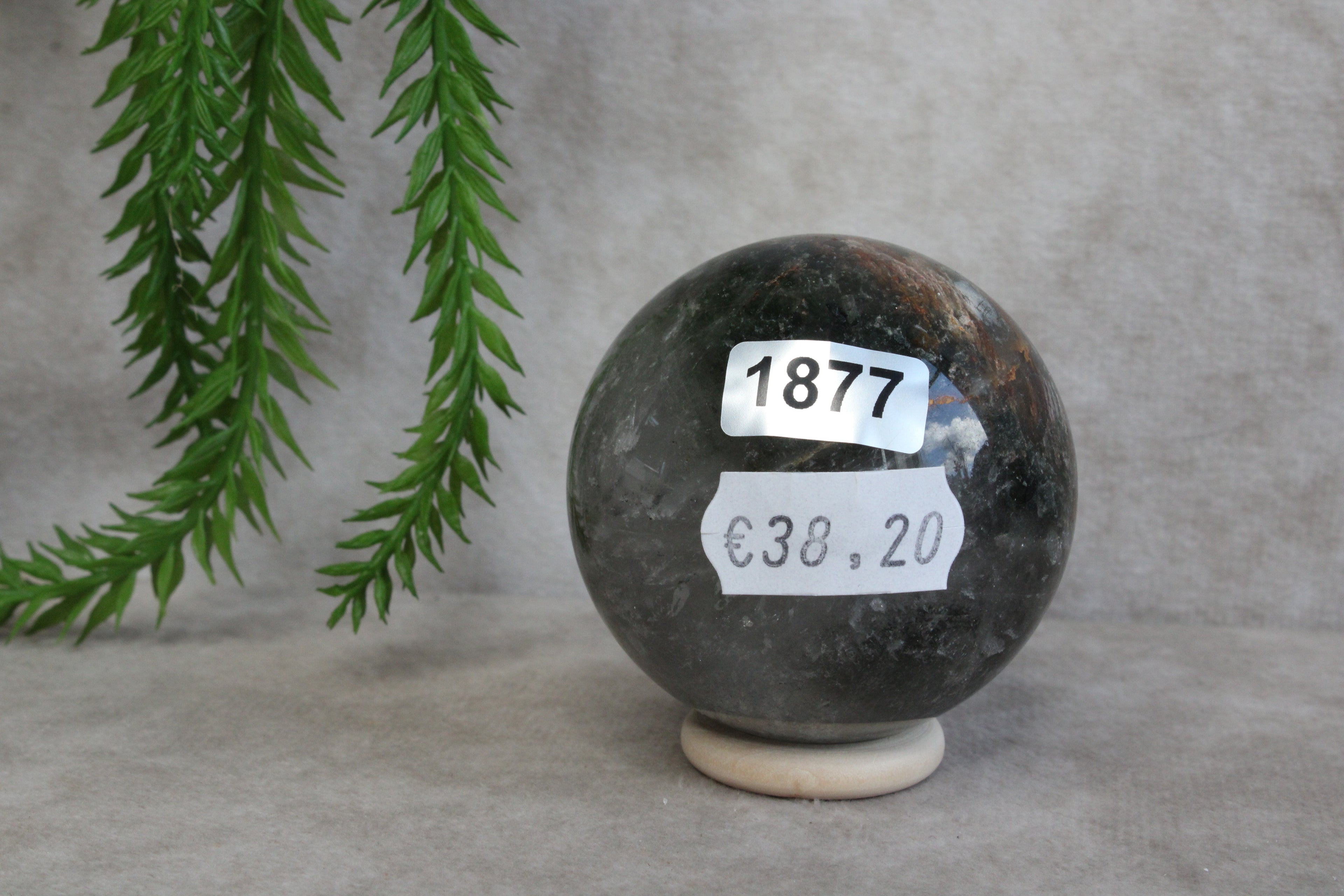 Lodoliet bol #1877