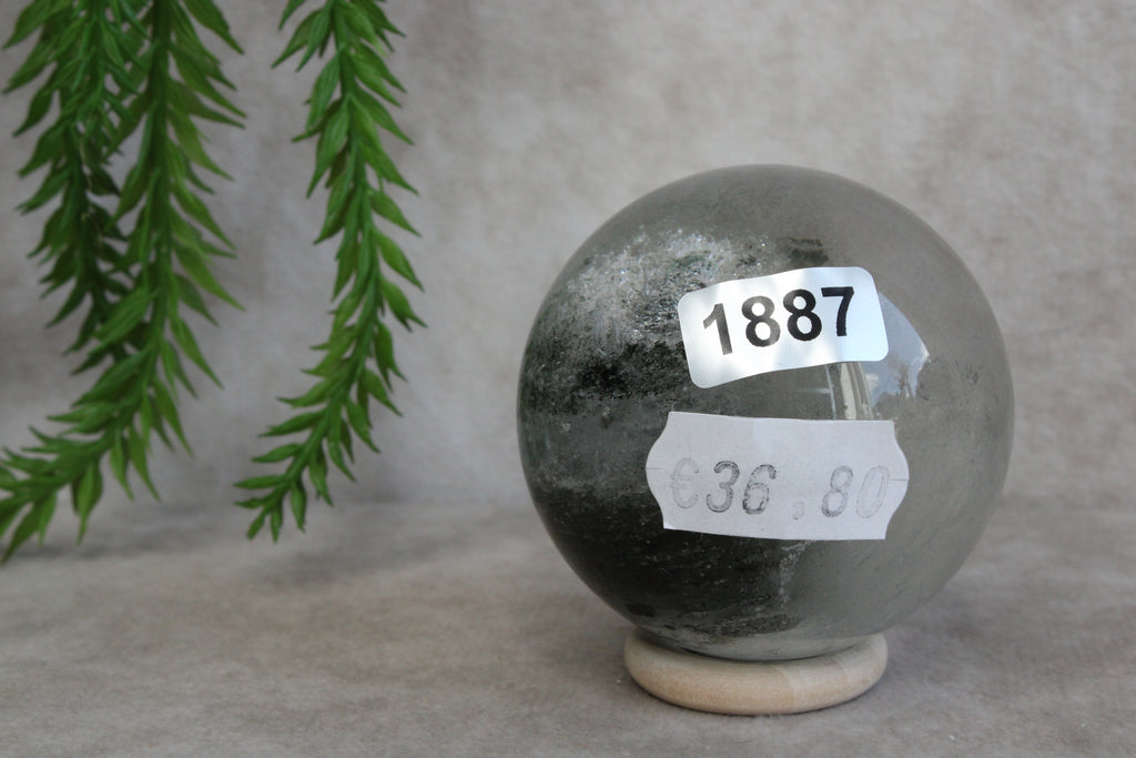 Lodoliet bol #1887