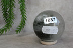 Lodoliet bol #1887