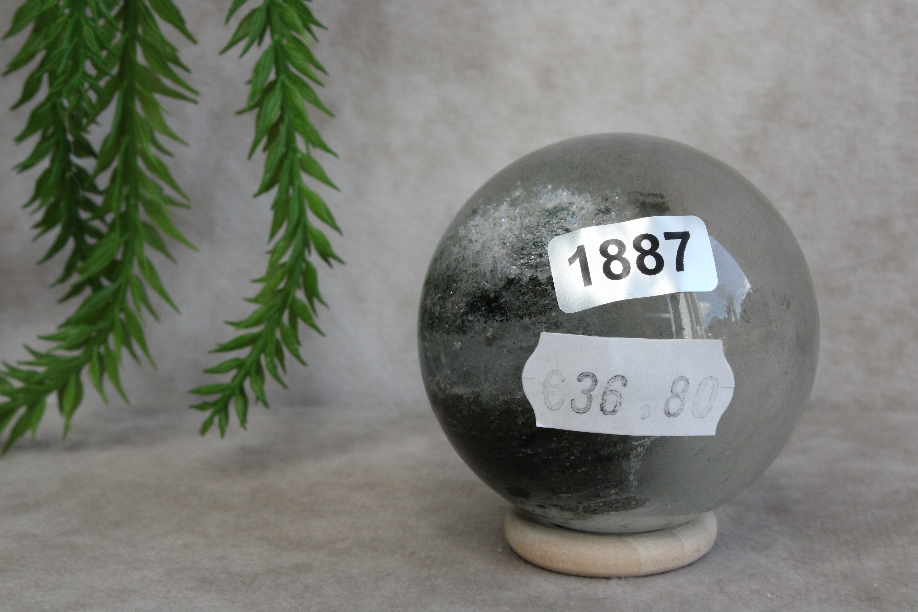 Lodoliet bol #1887